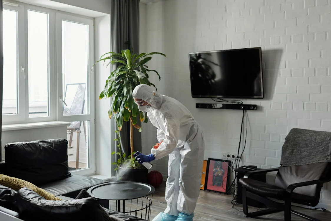 pest control complete and family playing on floor safely