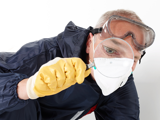 pest control complete and family playing on floor safely