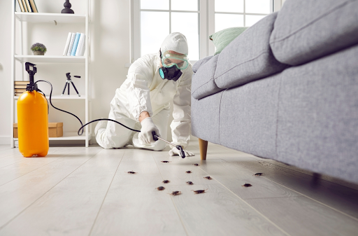 home-pest