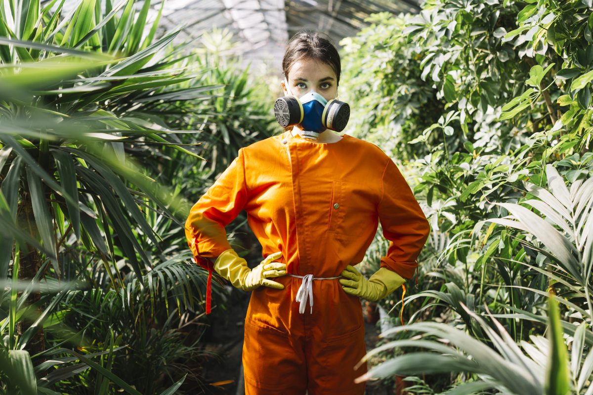 Seasonal Pest Control: Why Timing Matters in Shepparton