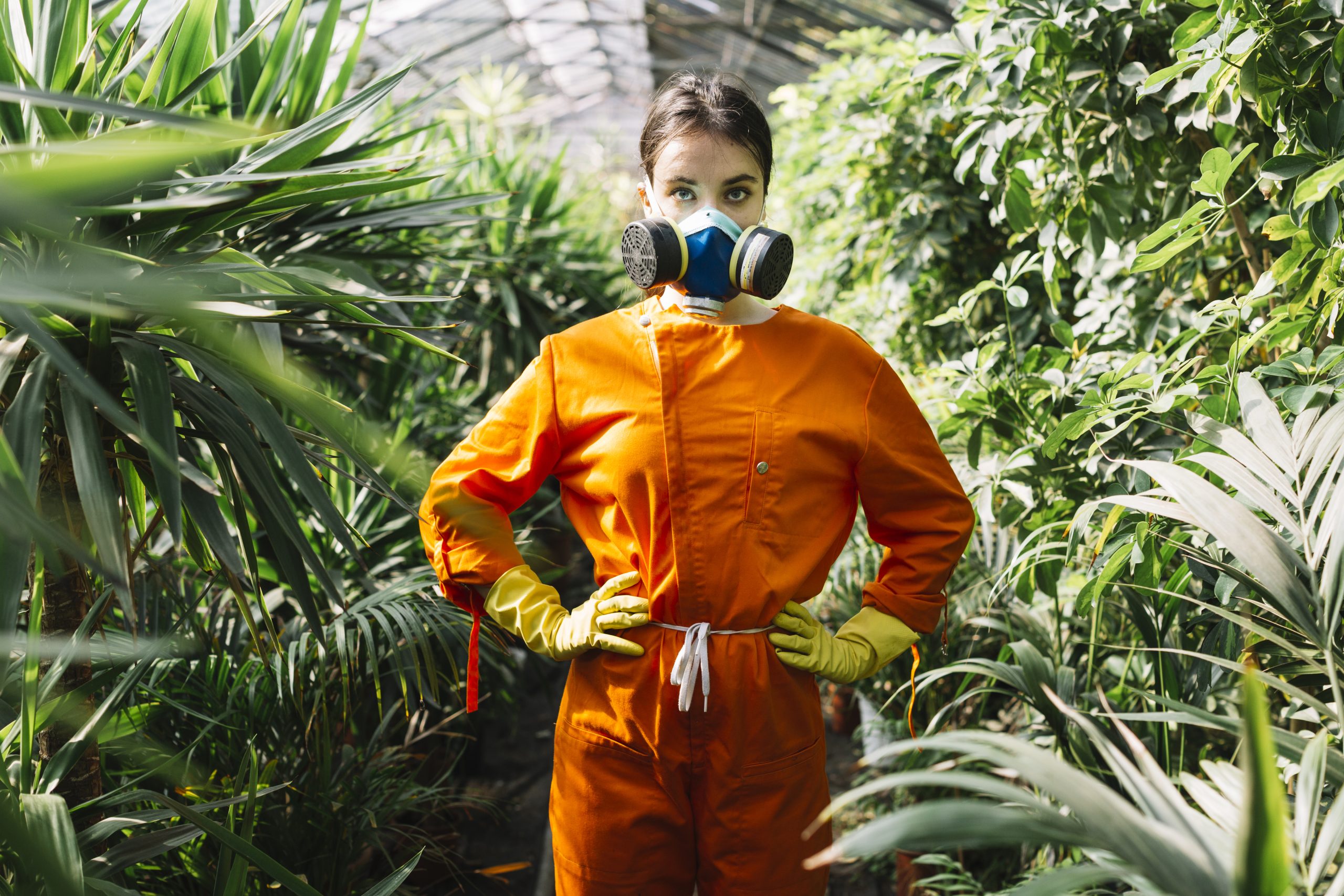 Seasonal Pest Control: Why Timing Matters in Shepparton