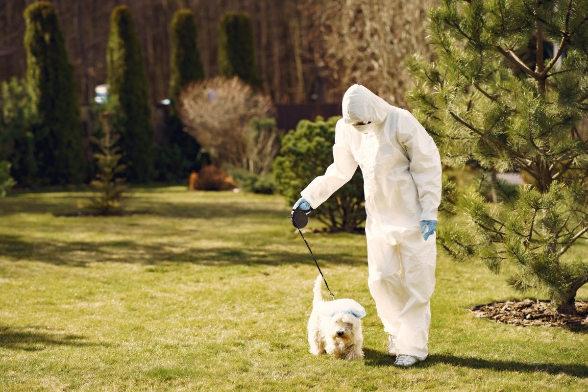 Control Pests Without Harming Your Pets