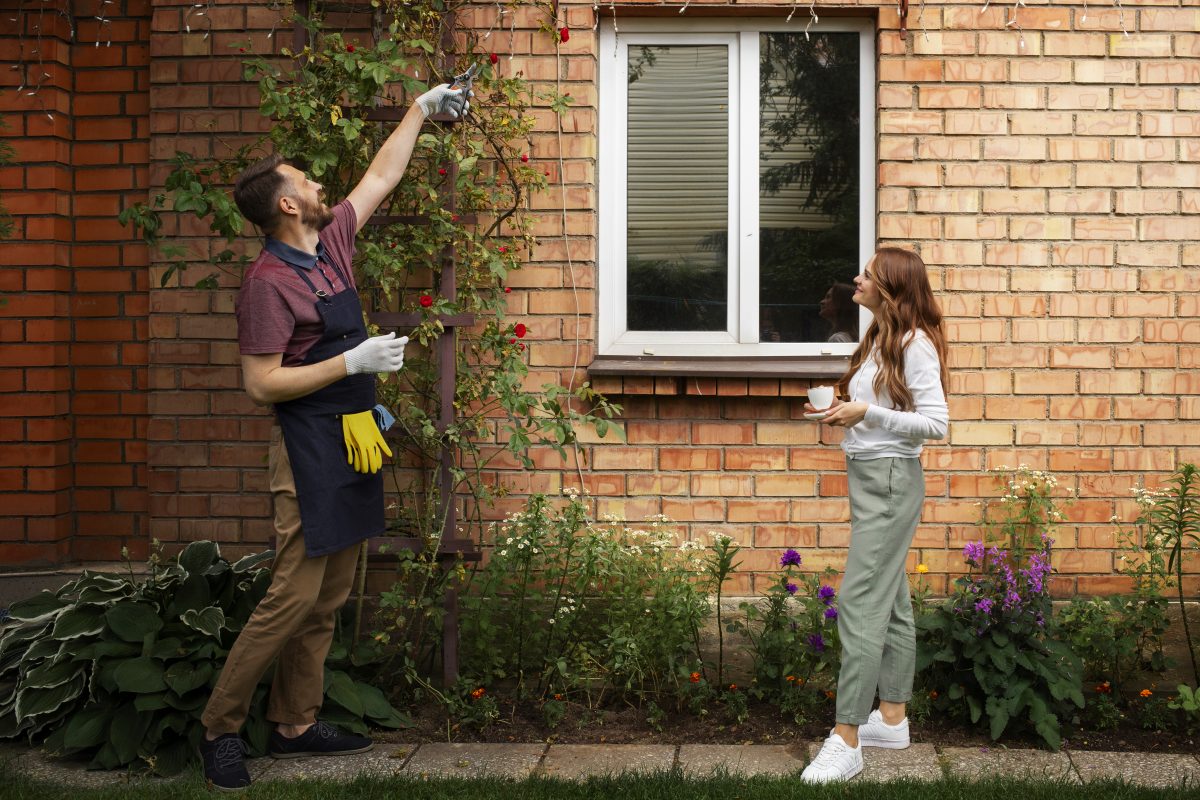 Smart Summer Pest-Proofing Tips Every Australian Homeowner Should Know