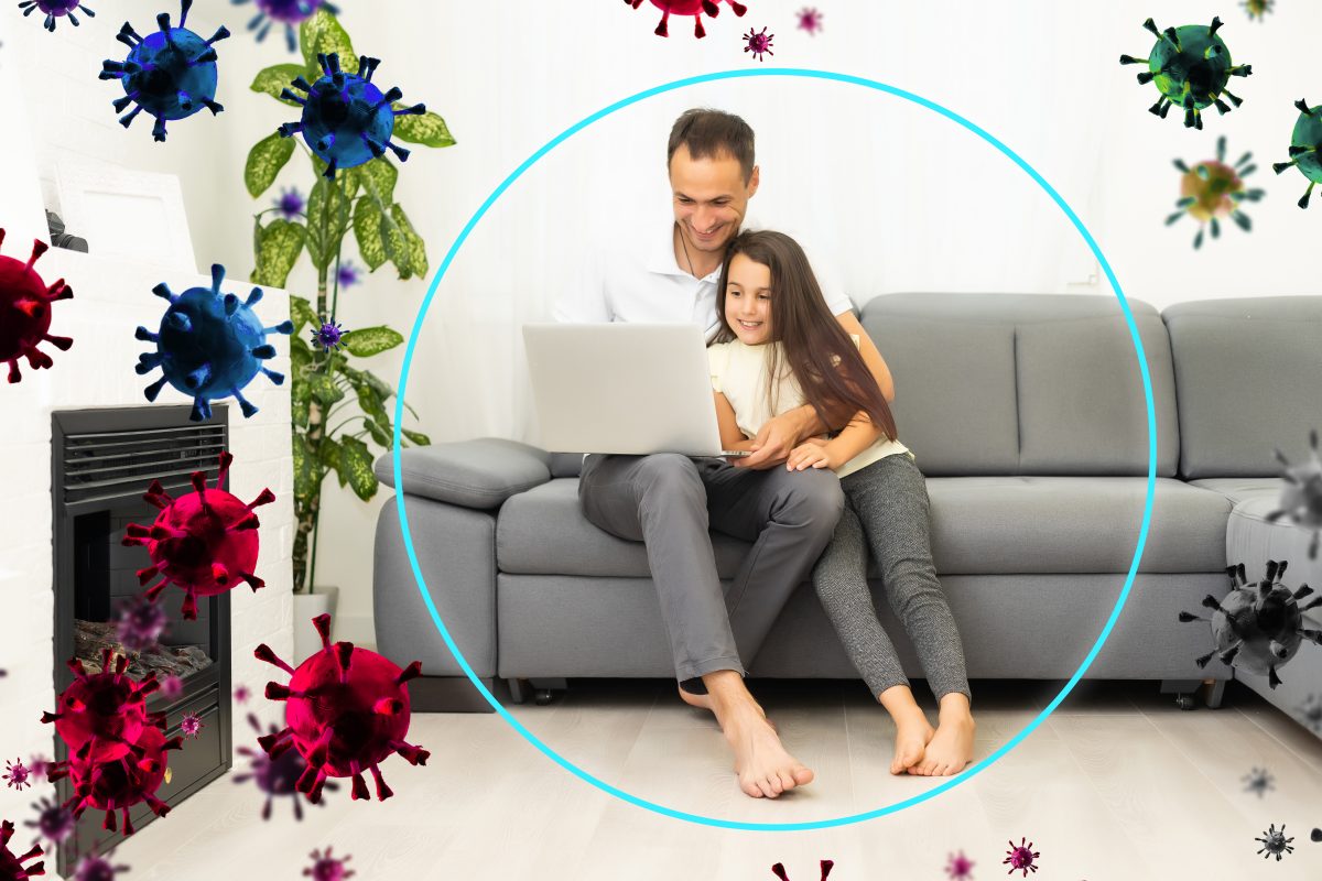 Natural Pest Control Solutions in Shepparton