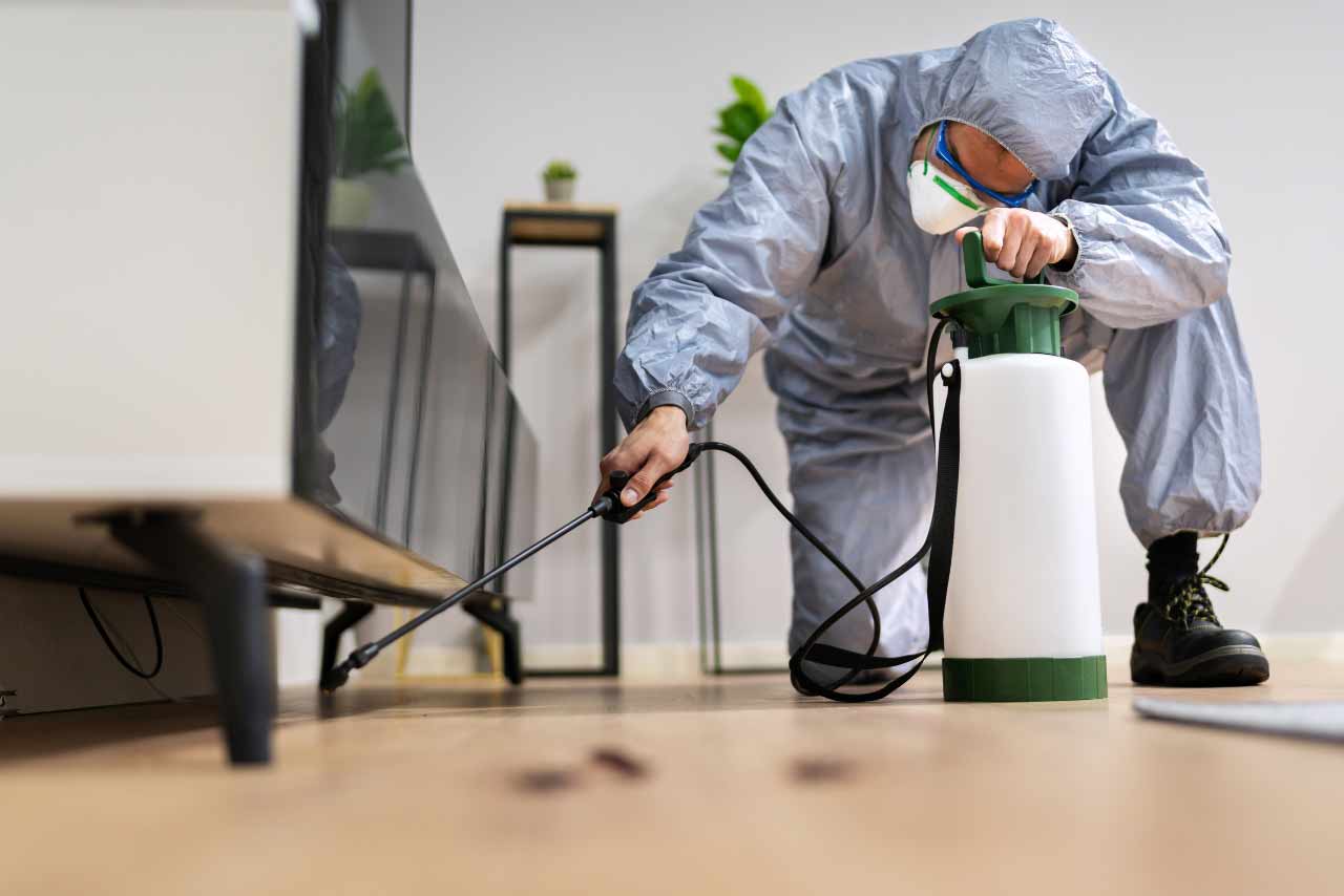 Pest Control Services