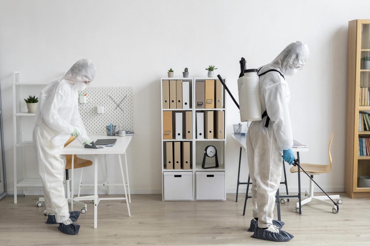 Bed Bug Treatment in Shepparton – Why Acting Fast Makes All the Difference 2 Bed Bug Treatment Shepparton